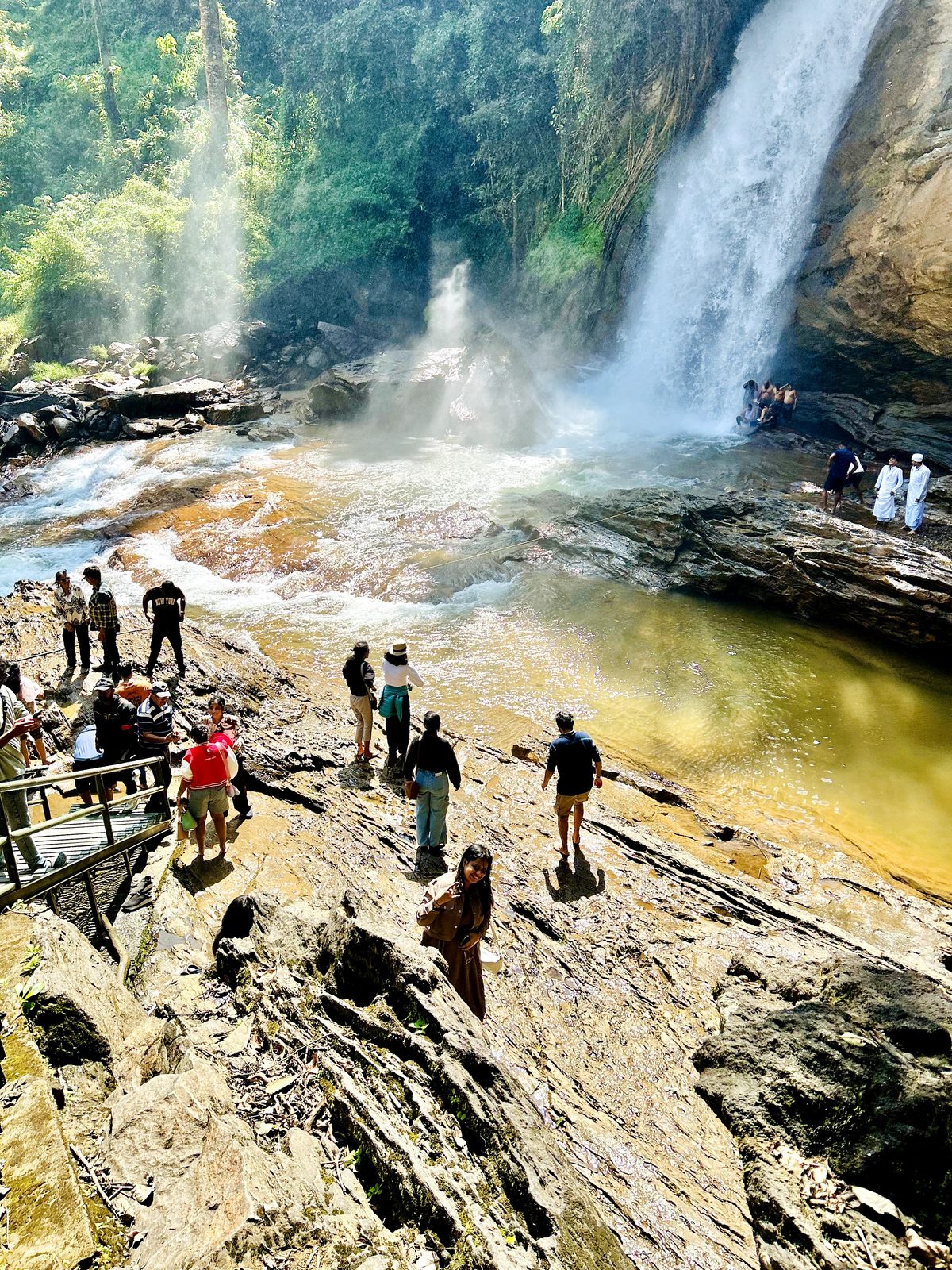Soochipara (Sentinel Rock) Waterfalls plunging into a pool amid the forest in Wayanad